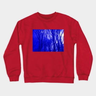 VELVET WOOD: Blue Crewneck Sweatshirt